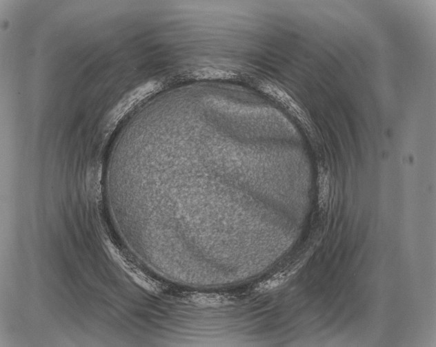 X0000085040490200703191237