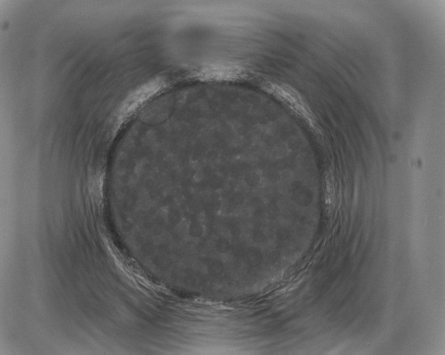 X0000085040491200703191237