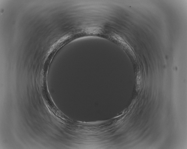 X0000085040492200703191237