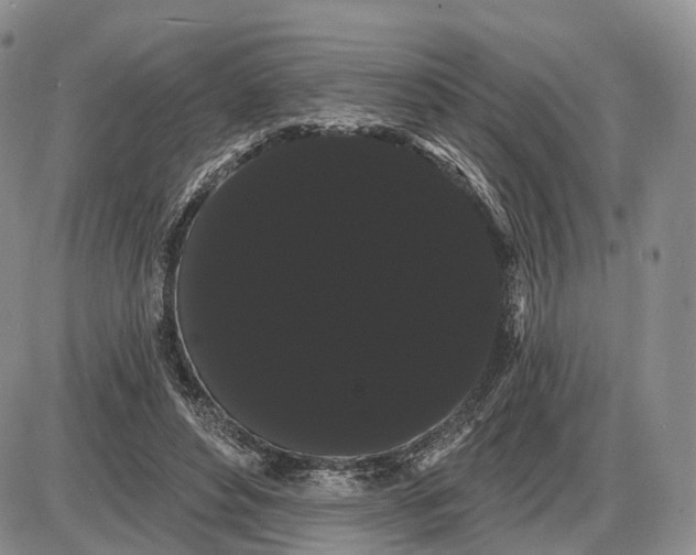 X0000085040496200703191237