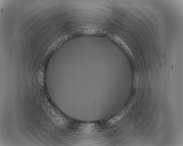 X0000085040497200703191237