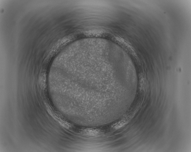 X0000085040498200703191237