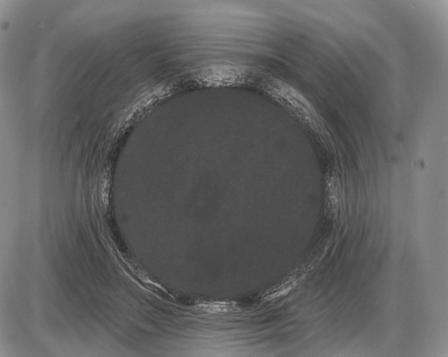 X0000085040499200703191237