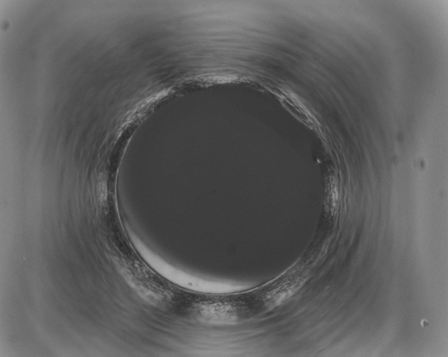 X0000085040500200703191237