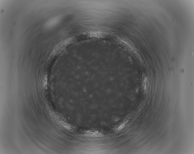 X0000085040502200703191237