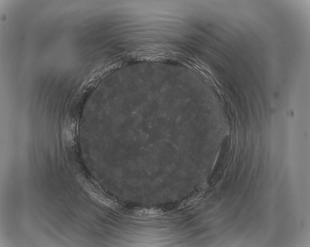 X0000085040503200703191236