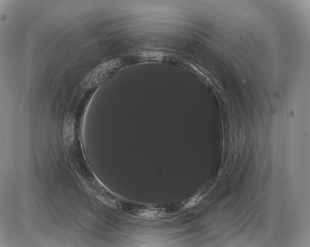 X0000085040504200703191236