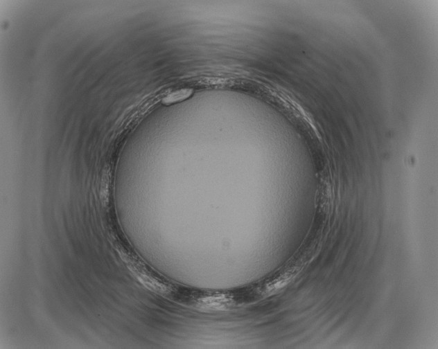 X0000085040505200703191236