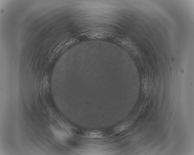 X0000085040506200703191236