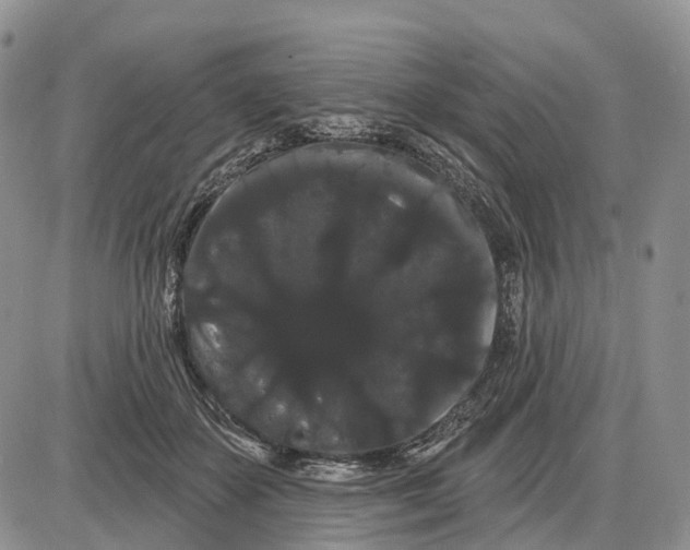 X0000085040507200703191236