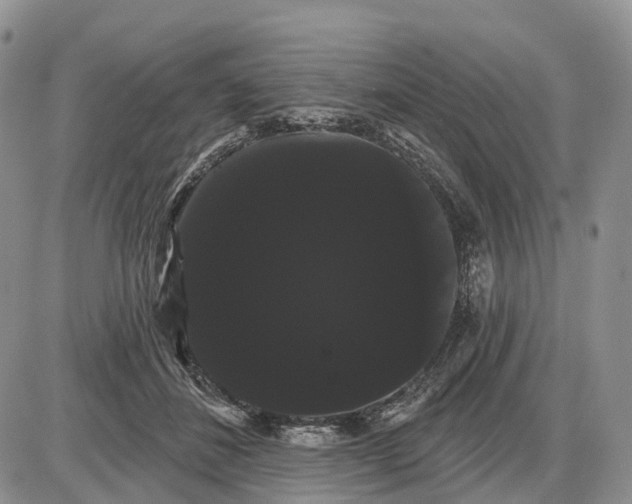 X0000085040508200703191236