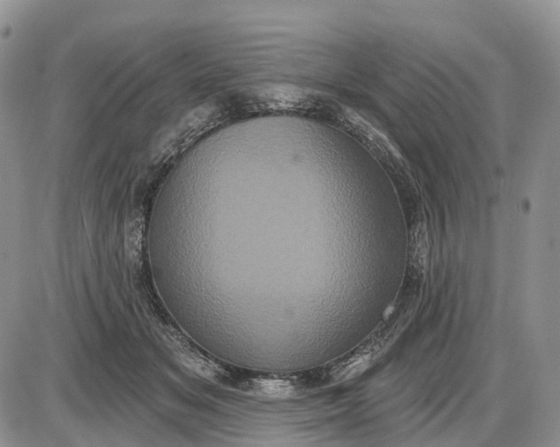 X0000085040509200703191236