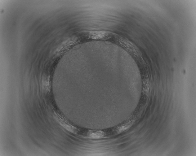 X0000085040510200703191236