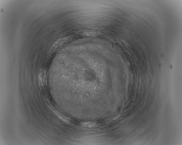 X0000085040511200703191236