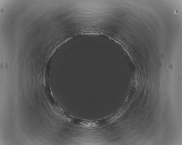 X0000085040512200703191236