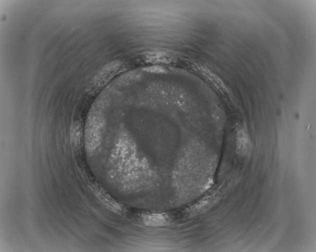 X0000085040513200703191236