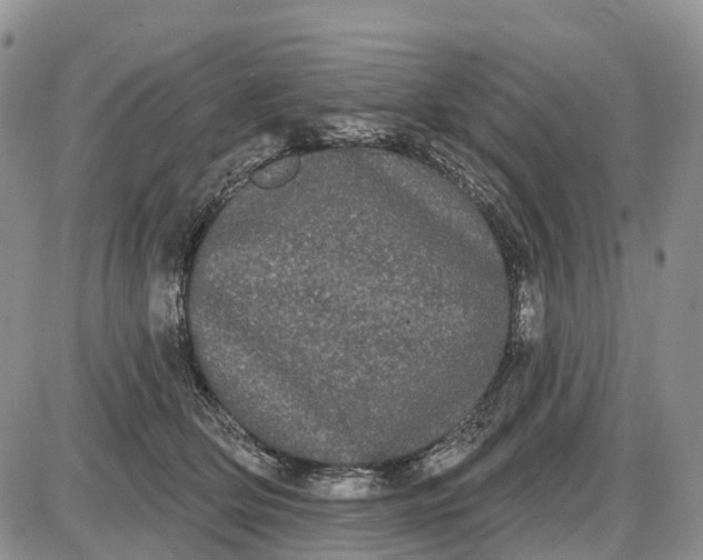 X0000085040514200703191236