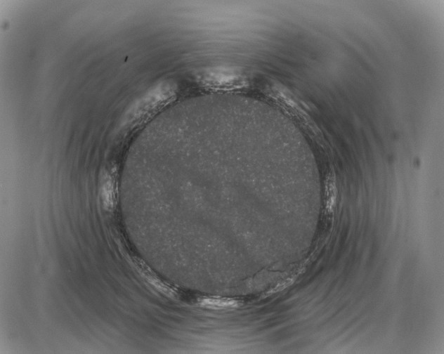 X0000085040515200703191236