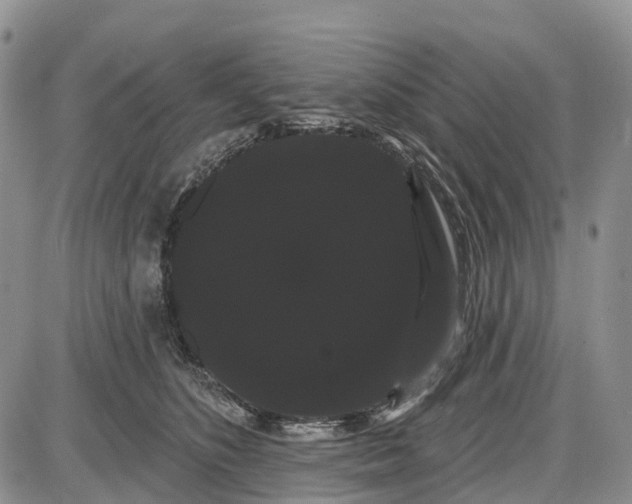 X0000085040516200703191236