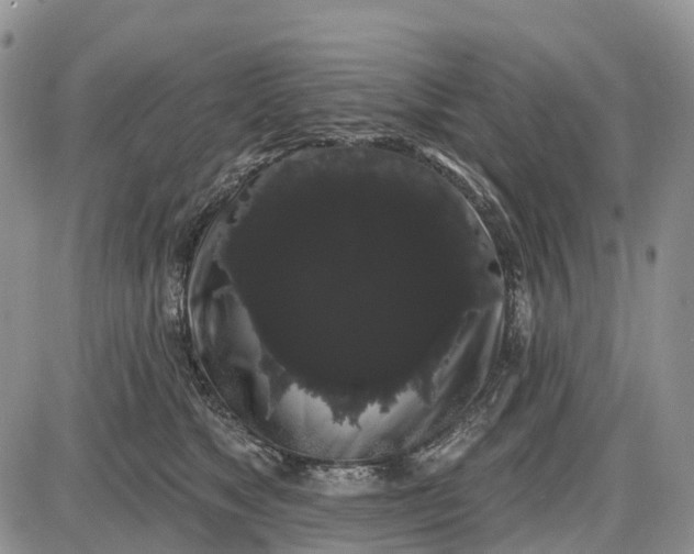 X0000085040517200703191236