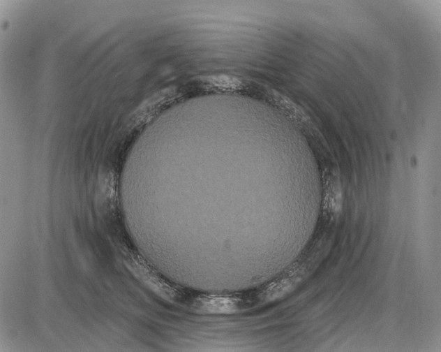 X0000085040518200703191236