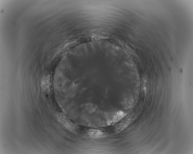 X0000085040519200703191236