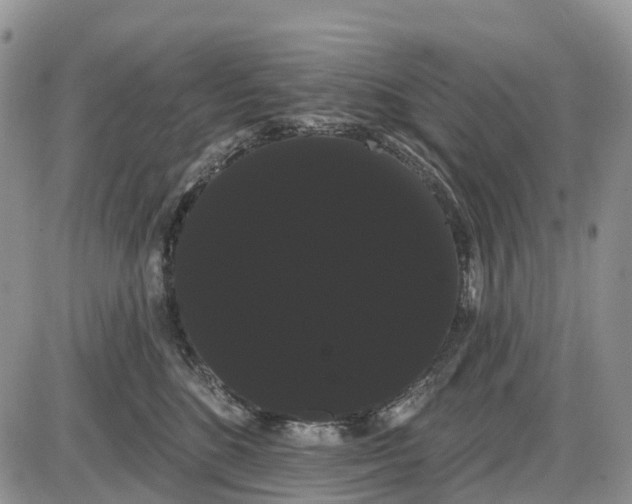 X0000085040520200703191236