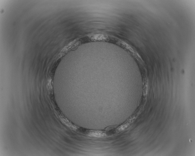 X0000085040521200703191236