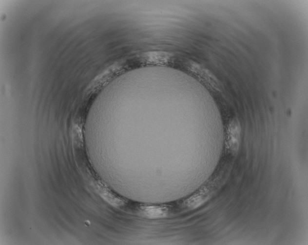 X0000085040522200703191236