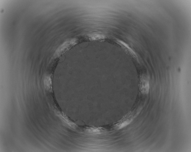 X0000085040523200703191236