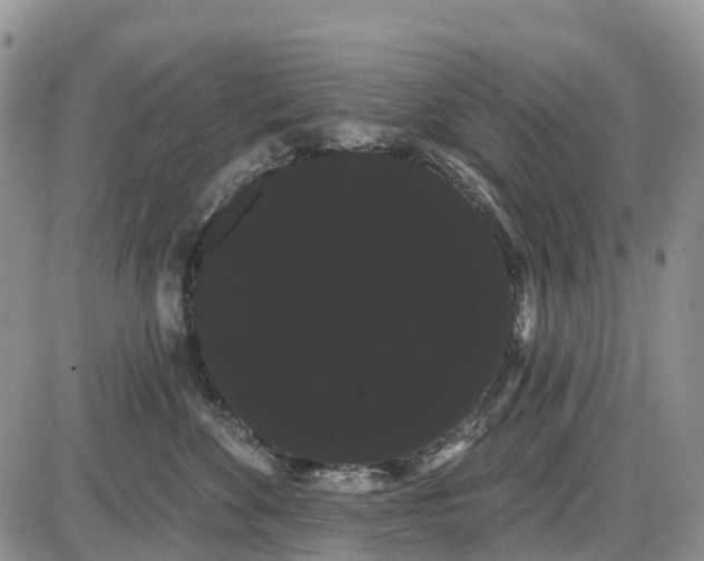 X0000085040524200703191236