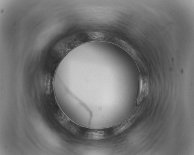 X0000085040525200703191236