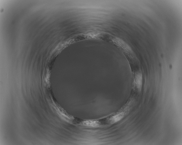 X0000085040526200703191236