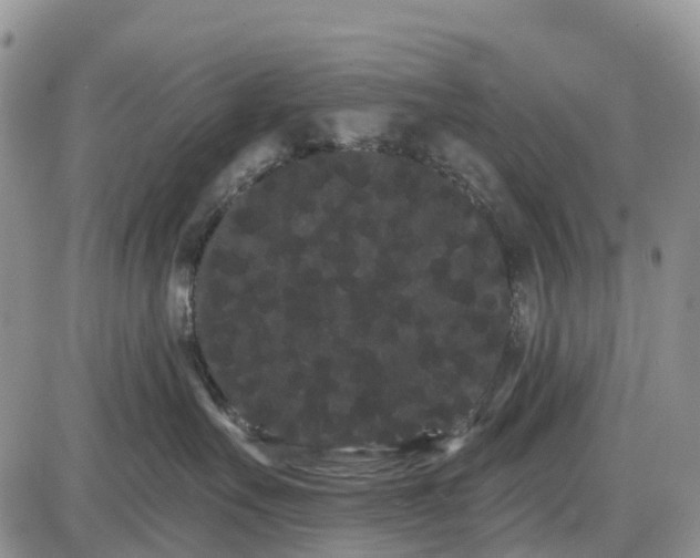 X0000085040527200703191236