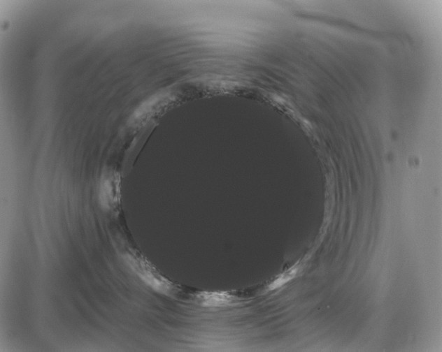 X0000085040528200703191236