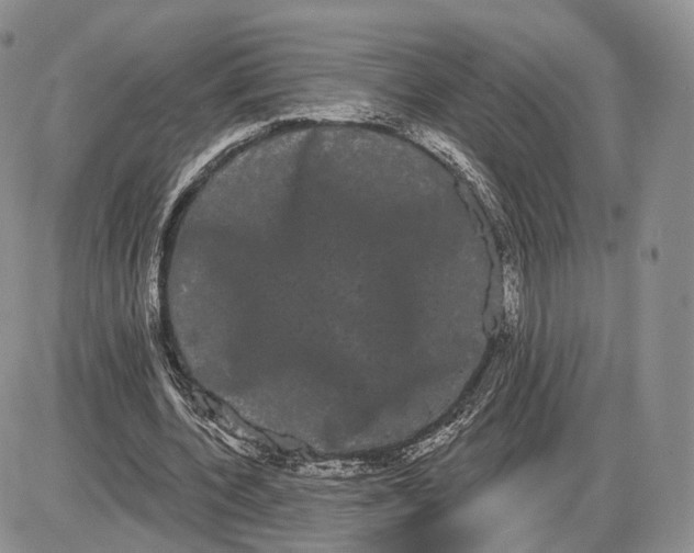 X0000085040532200703191235