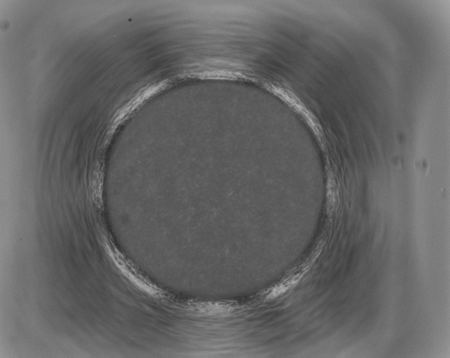 X0000085040533200703191235