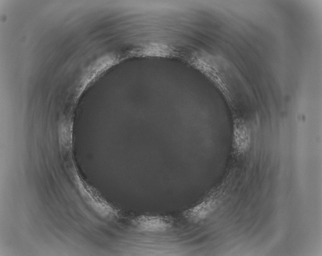 X0000085040534200703191235