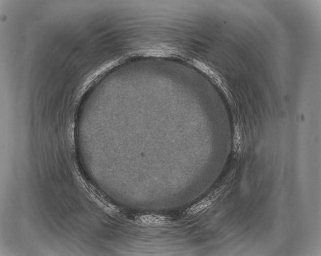 X0000085040535200703191235