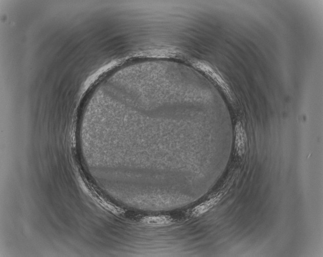 X0000085040536200703191235