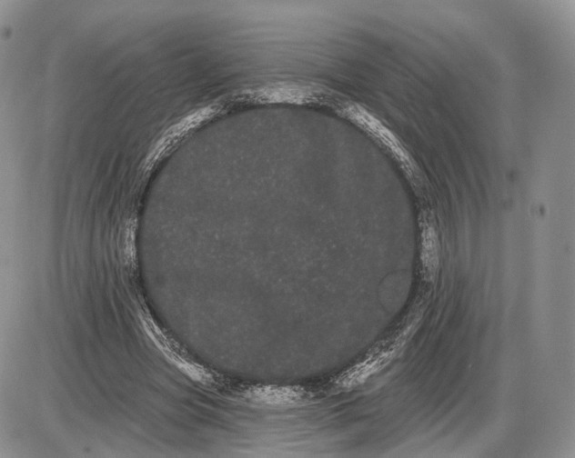 X0000085040537200703191235