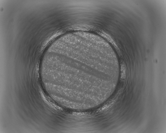 X0000085040538200703191235