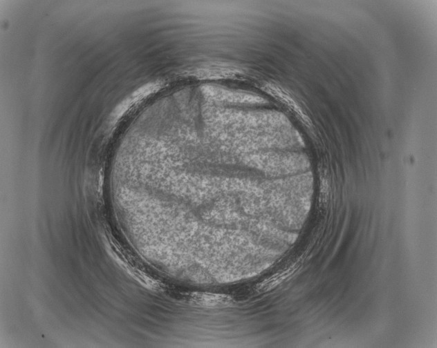 X0000085040539200703191235