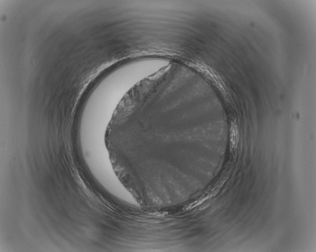 X0000085040540200703191235