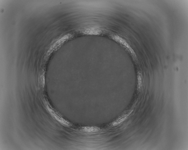 X0000085040541200703191235