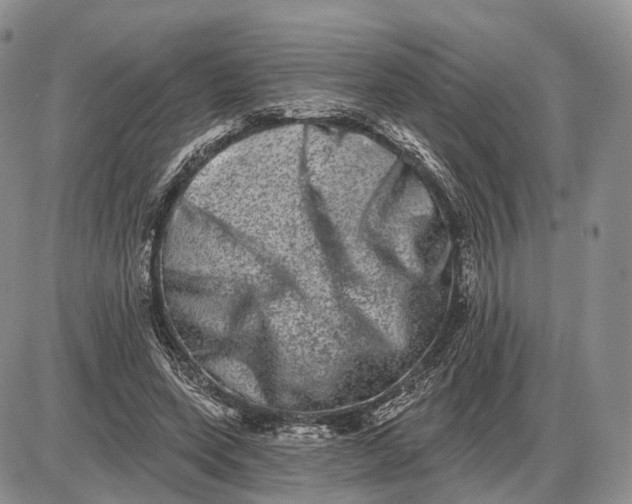 X0000085040543200703191236