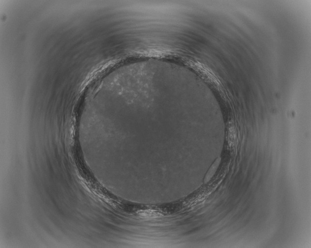 X0000085040544200703191236