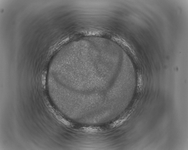 X0000085040545200703191236