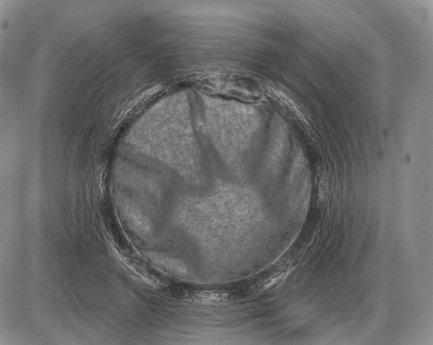 X0000085040546200703191236