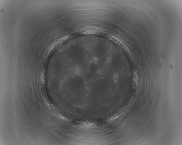 X0000085040547200703191236